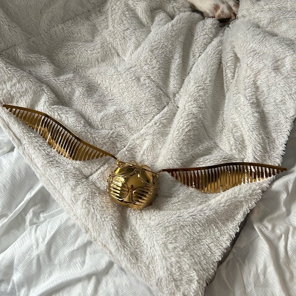Pottery Barn Harry Potter Golden Snitch Clock